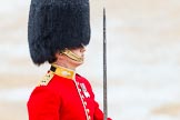The Colonel's Review 2014.
Horse Guards Parade, Westminster,
London,

United Kingdom,
on 07 June 2014 at 11:37, image #525