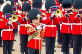 The Colonel's Review 2014.
Horse Guards Parade, Westminster,
London,

United Kingdom,
on 07 June 2014 at 11:38, image #526