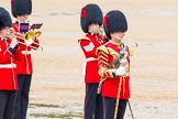 The Colonel's Review 2014.
Horse Guards Parade, Westminster,
London,

United Kingdom,
on 07 June 2014 at 11:38, image #530