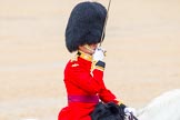The Colonel's Review 2014.
Horse Guards Parade, Westminster,
London,

United Kingdom,
on 07 June 2014 at 11:38, image #532