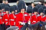 The Colonel's Review 2014.
Horse Guards Parade, Westminster,
London,

United Kingdom,
on 07 June 2014 at 11:43, image #542