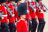 The Colonel's Review 2014.
Horse Guards Parade, Westminster,
London,

United Kingdom,
on 07 June 2014 at 11:43, image #548