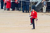 The Colonel's Review 2014.
Horse Guards Parade, Westminster,
London,

United Kingdom,
on 07 June 2014 at 11:48, image #570