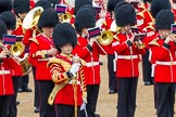 The Colonel's Review 2014.
Horse Guards Parade, Westminster,
London,

United Kingdom,
on 07 June 2014 at 11:49, image #575