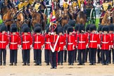 The Colonel's Review 2014.
Horse Guards Parade, Westminster,
London,

United Kingdom,
on 07 June 2014 at 11:50, image #577