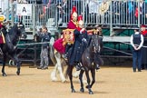 The Colonel's Review 2014.
Horse Guards Parade, Westminster,
London,

United Kingdom,
on 07 June 2014 at 11:51, image #585