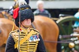 The Colonel's Review 2014.
Horse Guards Parade, Westminster,
London,

United Kingdom,
on 07 June 2014 at 11:52, image #602