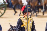 The Colonel's Review 2014.
Horse Guards Parade, Westminster,
London,

United Kingdom,
on 07 June 2014 at 11:53, image #604