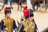 The Colonel's Review 2014.
Horse Guards Parade, Westminster,
London,

United Kingdom,
on 07 June 2014 at 11:53, image #605