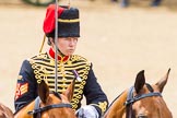 The Colonel's Review 2014.
Horse Guards Parade, Westminster,
London,

United Kingdom,
on 07 June 2014 at 11:53, image #607