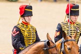 The Colonel's Review 2014.
Horse Guards Parade, Westminster,
London,

United Kingdom,
on 07 June 2014 at 11:53, image #608