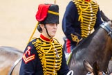 The Colonel's Review 2014.
Horse Guards Parade, Westminster,
London,

United Kingdom,
on 07 June 2014 at 11:53, image #612