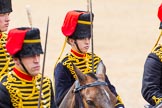 The Colonel's Review 2014.
Horse Guards Parade, Westminster,
London,

United Kingdom,
on 07 June 2014 at 11:53, image #613