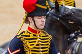 The Colonel's Review 2014.
Horse Guards Parade, Westminster,
London,

United Kingdom,
on 07 June 2014 at 11:53, image #614