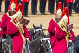 The Colonel's Review 2014.
Horse Guards Parade, Westminster,
London,

United Kingdom,
on 07 June 2014 at 11:56, image #637