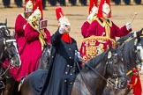 The Colonel's Review 2014.
Horse Guards Parade, Westminster,
London,

United Kingdom,
on 07 June 2014 at 11:56, image #638