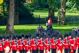 The Colonel's Review 2014.
Horse Guards Parade, Westminster,
London,

United Kingdom,
on 07 June 2014 at 11:56, image #646