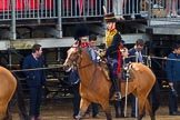 The Colonel's Review 2014.
Horse Guards Parade, Westminster,
London,

United Kingdom,
on 07 June 2014 at 11:57, image #650