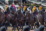 The Colonel's Review 2014.
Horse Guards Parade, Westminster,
London,

United Kingdom,
on 07 June 2014 at 11:57, image #659