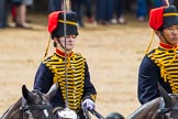 The Colonel's Review 2014.
Horse Guards Parade, Westminster,
London,

United Kingdom,
on 07 June 2014 at 11:57, image #667