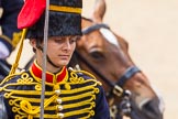 The Colonel's Review 2014.
Horse Guards Parade, Westminster,
London,

United Kingdom,
on 07 June 2014 at 11:57, image #668