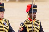 The Colonel's Review 2014.
Horse Guards Parade, Westminster,
London,

United Kingdom,
on 07 June 2014 at 11:57, image #669