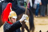 The Colonel's Review 2014.
Horse Guards Parade, Westminster,
London,

United Kingdom,
on 07 June 2014 at 11:58, image #673