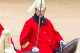 The Colonel's Review 2014.
Horse Guards Parade, Westminster,
London,

United Kingdom,
on 07 June 2014 at 11:58, image #676