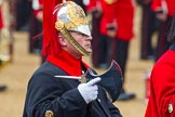 The Colonel's Review 2014.
Horse Guards Parade, Westminster,
London,

United Kingdom,
on 07 June 2014 at 11:58, image #679