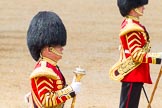 The Colonel's Review 2014.
Horse Guards Parade, Westminster,
London,

United Kingdom,
on 07 June 2014 at 12:00, image #683