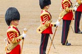 The Colonel's Review 2014.
Horse Guards Parade, Westminster,
London,

United Kingdom,
on 07 June 2014 at 12:00, image #684