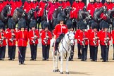 The Colonel's Review 2014.
Horse Guards Parade, Westminster,
London,

United Kingdom,
on 07 June 2014 at 12:01, image #689