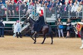 The Colonel's Review 2014.
Horse Guards Parade, Westminster,
London,

United Kingdom,
on 07 June 2014 at 12:02, image #693