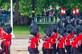 The Colonel's Review 2014.
Horse Guards Parade, Westminster,
London,

United Kingdom,
on 07 June 2014 at 12:04, image #698