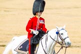 The Colonel's Review 2014.
Horse Guards Parade, Westminster,
London,

United Kingdom,
on 07 June 2014 at 12:06, image #704