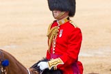 The Colonel's Review 2014.
Horse Guards Parade, Westminster,
London,

United Kingdom,
on 07 June 2014 at 12:09, image #717