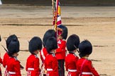 The Colonel's Review 2014.
Horse Guards Parade, Westminster,
London,

United Kingdom,
on 07 June 2014 at 12:10, image #724