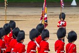 The Colonel's Review 2014.
Horse Guards Parade, Westminster,
London,

United Kingdom,
on 07 June 2014 at 12:10, image #725