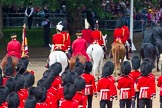 The Colonel's Review 2014.
Horse Guards Parade, Westminster,
London,

United Kingdom,
on 07 June 2014 at 12:10, image #727