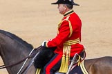 The Colonel's Review 2014.
Horse Guards Parade, Westminster,
London,

United Kingdom,
on 07 June 2014 at 12:11, image #730