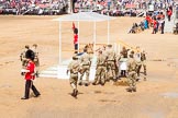 The Colonel's Review 2014.
Horse Guards Parade, Westminster,
London,

United Kingdom,
on 07 June 2014 at 12:11, image #733