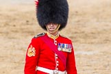 The Colonel's Review 2014.
Horse Guards Parade, Westminster,
London,

United Kingdom,
on 07 June 2014 at 12:15, image #738