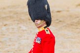 The Colonel's Review 2014.
Horse Guards Parade, Westminster,
London,

United Kingdom,
on 07 June 2014 at 12:15, image #739
