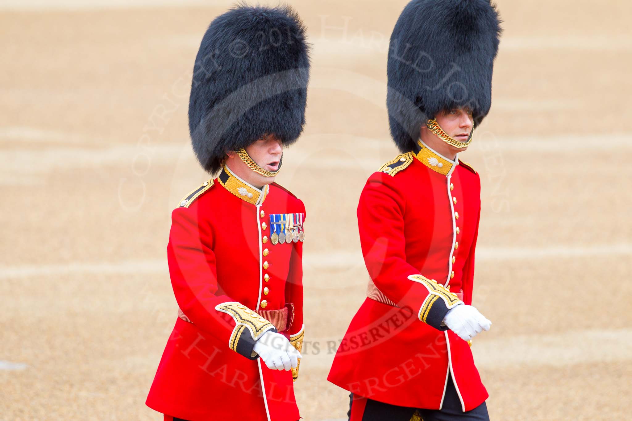 Trooping the Colour 2014.
Horse Guards Parade, Westminster,
London SW1A,

United Kingdom,
on 14 June 2014 at 09:46, image #51