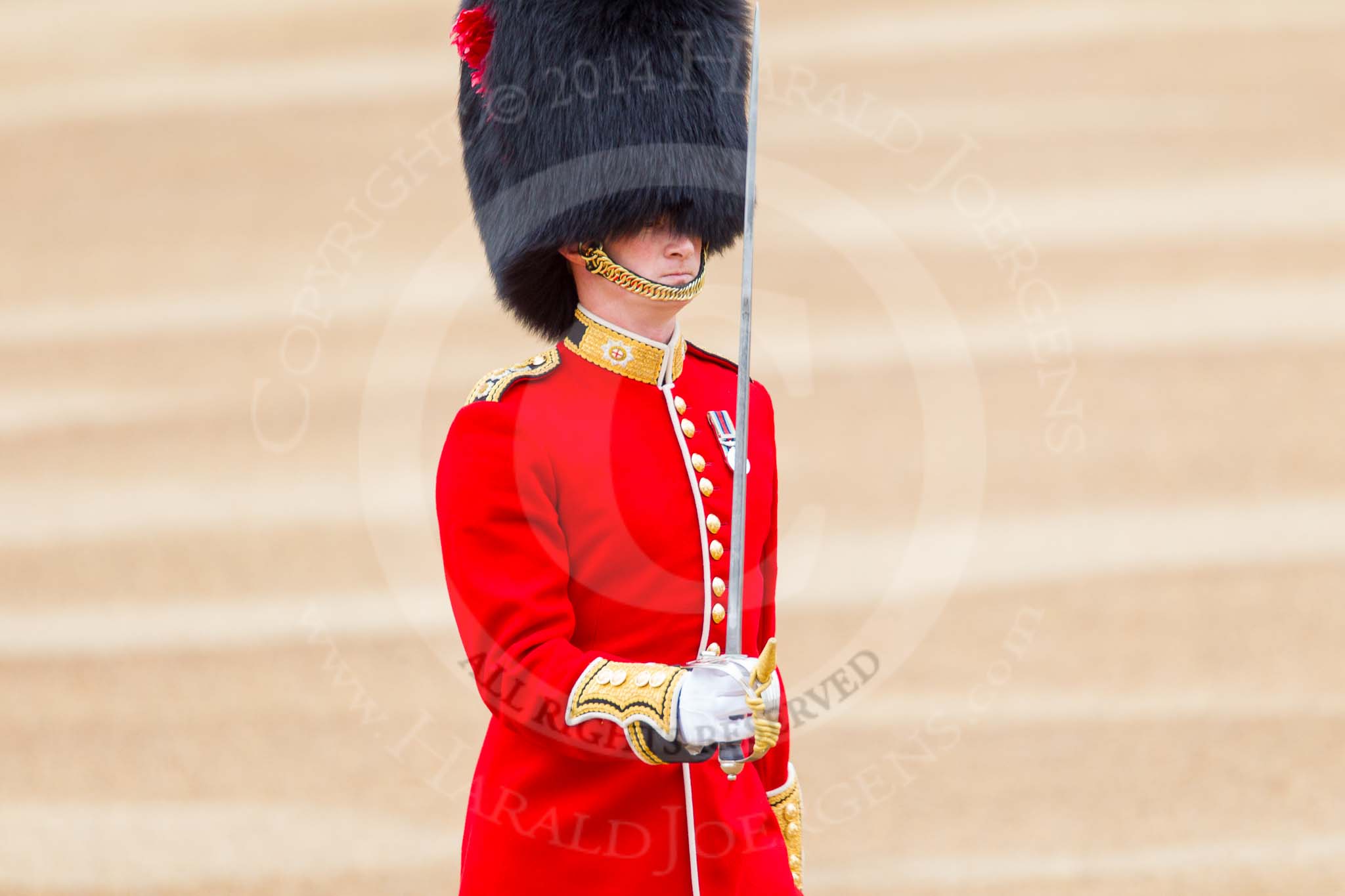 Trooping the Colour 2014.
Horse Guards Parade, Westminster,
London SW1A,

United Kingdom,
on 14 June 2014 at 10:28, image #160