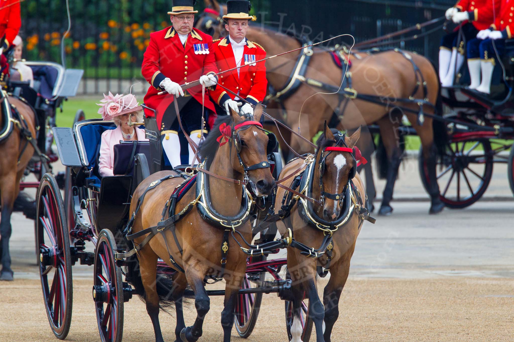 Trooping the Colour 2014.
Horse Guards Parade, Westminster,
London SW1A,

United Kingdom,
on 14 June 2014 at 10:49, image #271