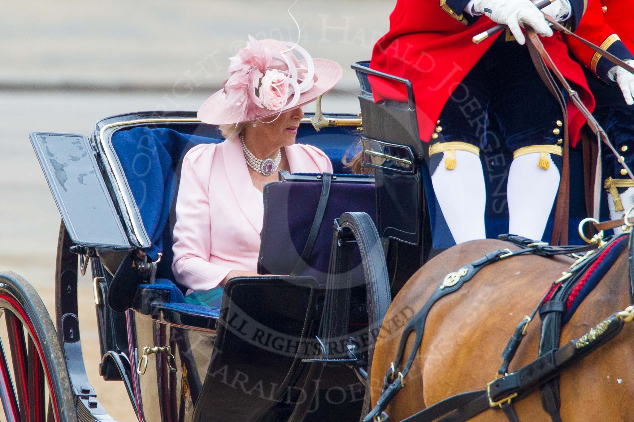 Trooping the Colour 2014.
Horse Guards Parade, Westminster,
London SW1A,

United Kingdom,
on 14 June 2014 at 10:49, image #273