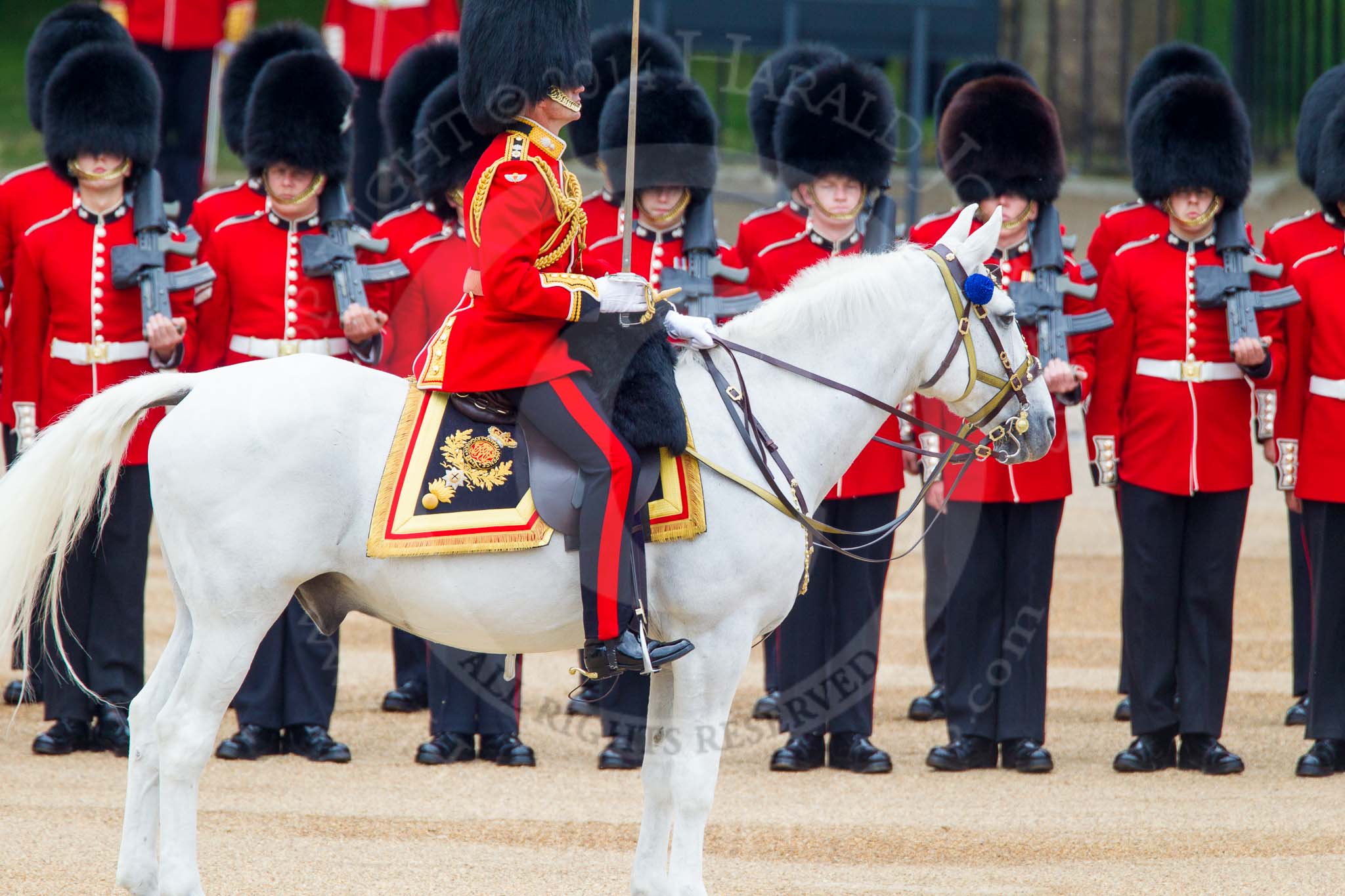 Trooping the Colour 2014.
Horse Guards Parade, Westminster,
London SW1A,

United Kingdom,
on 14 June 2014 at 10:51, image #297