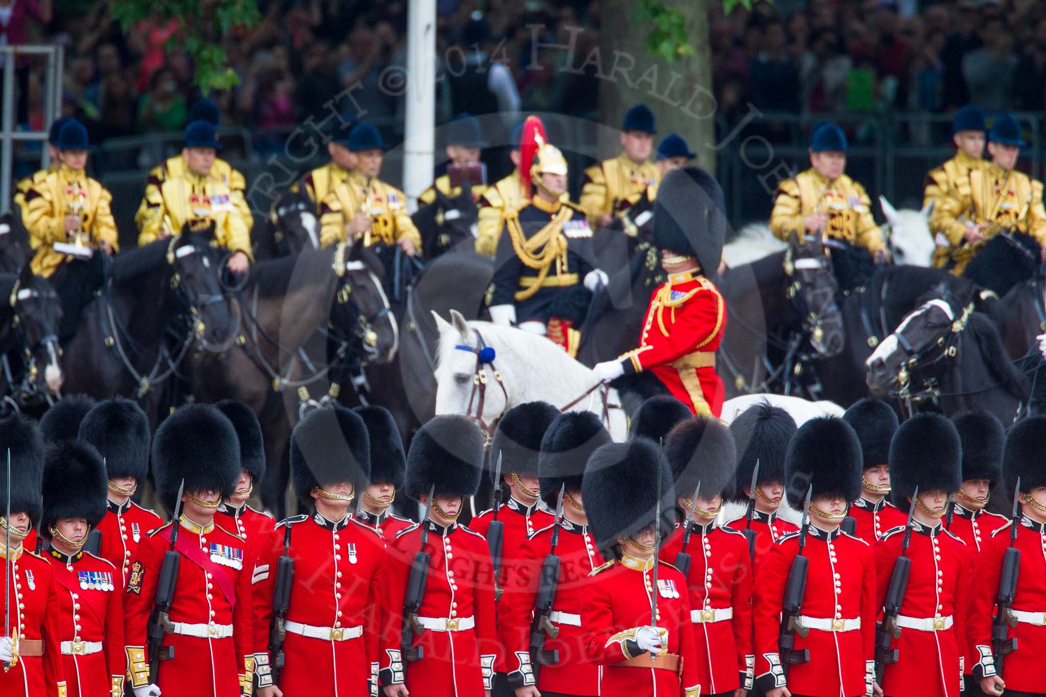 Trooping the Colour 2014.
Horse Guards Parade, Westminster,
London SW1A,

United Kingdom,
on 14 June 2014 at 11:05, image #423
