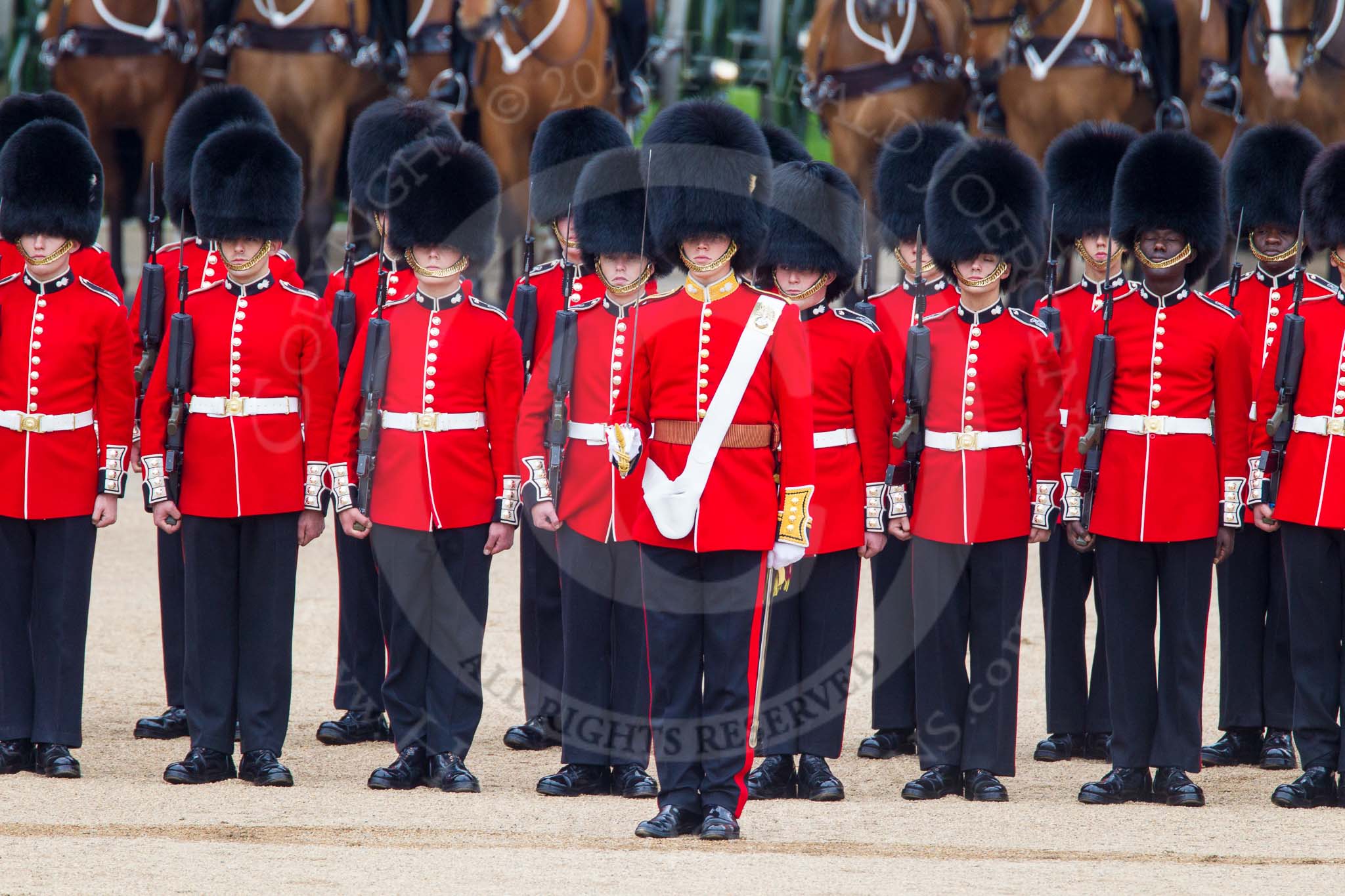 Trooping the Colour 2014.
Horse Guards Parade, Westminster,
London SW1A,

United Kingdom,
on 14 June 2014 at 11:05, image #426